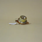 Fuel Injection Pressure Regulator for Ford Mazda Lincoln (1994-2002)