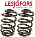 Set of 2 Rear Coil Springs for BMW X3 E83 (2004–2006) w/o M-Tech Susp