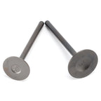 Intake & Exhaust Valves for Suzuki DF 90 100 115 140 HP (2001–2014)