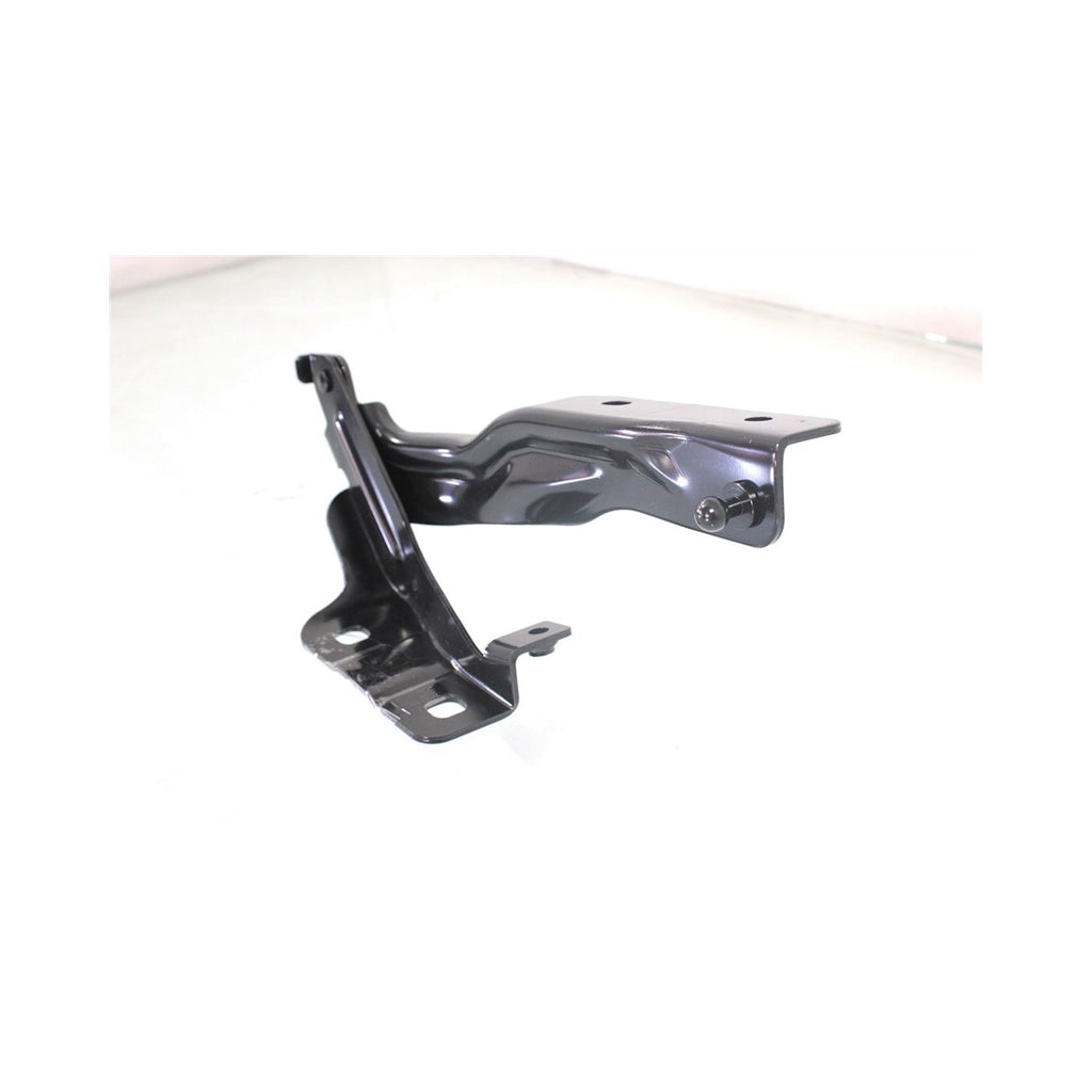 Hood Hinges Set of 2 for Nissan (Driver & Passenger Side)