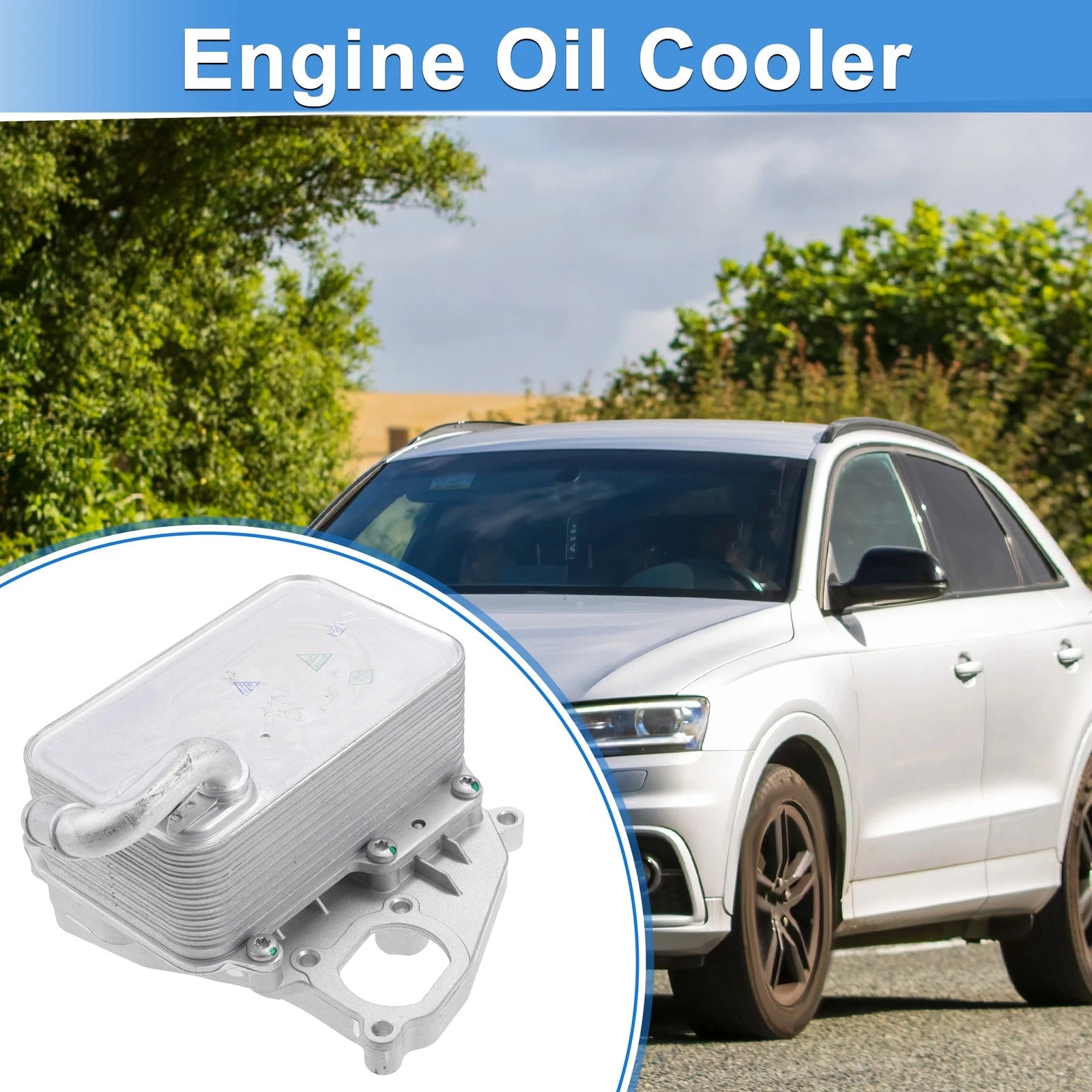 Engine Oil Cooler with Seals for Volkswagen Beetle (No. 059117021R)