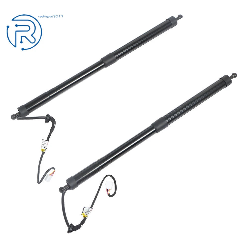 2X Rear Tailgate Lift Support Strut for Toyota Highlander (2014-2019)