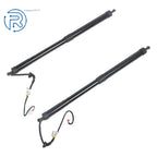 2X Rear Tailgate Lift Support Strut for Toyota Highlander (2014-2019)