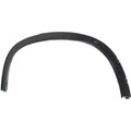 Fender Trim for BMW X1 (Rear Passenger Right Side)