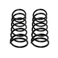 2X Front Coil Springs for BMW E24 633CSi 635CSi (1976–1989)