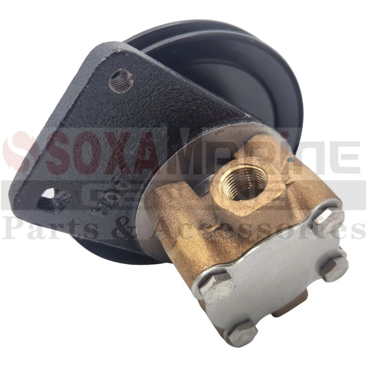 Sea Water Pump for Cummins Onan Engine (132-0395, 132-0430, G8002)