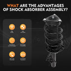 2X Complete Struts Shocks Springs & Mounts for Nissan Rogue (2014–2020)