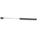 Lift Support for Ford Escape, Tribute (2008–2012)