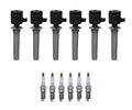 Set of 6 Ignition Coils & 6 Platinum Spark Plugs for Ford Mazda Mercury