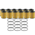 Set of 12 Engine Oil Filters for Hyundai Genesis Kia (StdAsp)