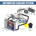 1 x Coolant Radiator Reservoir Tank with Cap and Sensor for BMW X5