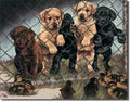 Vintage Replica Tin Metal Sign - Jailbirds, Puppies, Hunting Geese, Ducks 913