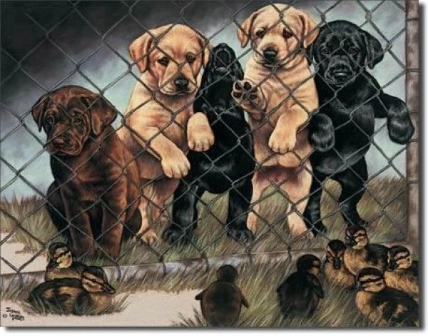 Vintage Replica Tin Metal Sign - Jailbirds, Puppies, Hunting Geese, Ducks 913
