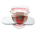 2-Sided Glass Mirror for Dental Intraoral Photography