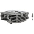 Engine Cylinder Head for Honda Sportrax 250 TRX250EX Recon 250 TRX250TE (2002–2014)