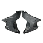 Side Frame Fairing Cowl Guards Radiator Cover for BMW R1250GS (2018–2023) Silver