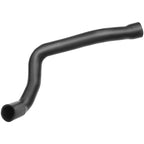 Lower Engine Radiator Hose for BMW 540i 740i 740iL (1994–1998)