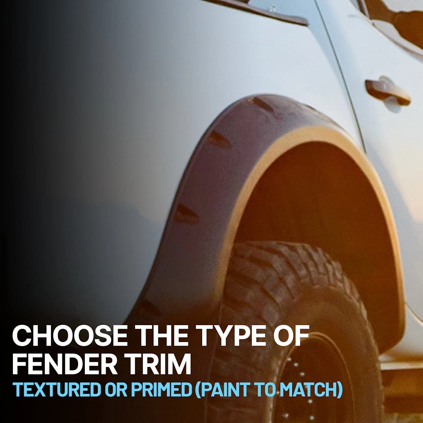 Fender Trim Molding for C-HR (2017–2023)