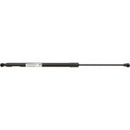 Liftgate Lift Supports Set of 2 for BMW 325, 323, 325i