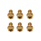 6pcs M10x20mm Titanium Torx Head Flange Screws for Motorcycle Bike
