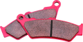 Sintered Brake Pads for BMW R1200GS, K1600 GT (2013–2020) BM-209.2