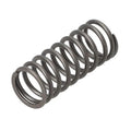 Valve Spring for A-251262R2-AI