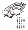 Denso Wire Set & 8 Iridium TT Spark Plug Kit for Dodge 5.9L V8 (1998–2003)