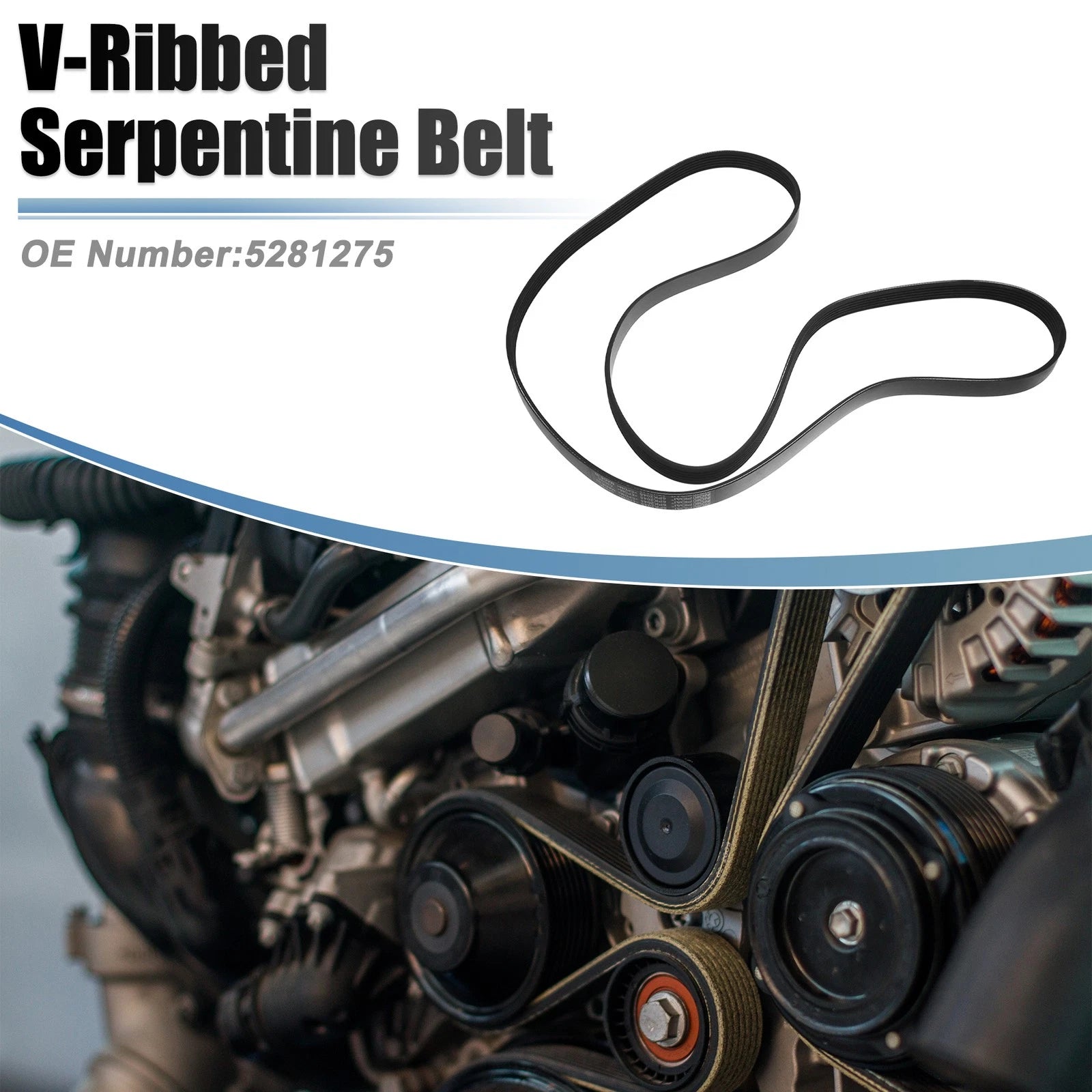 V-Ribbed Serpentine Drive Belt for Ford F-250 Super Duty (2002–2010) 6.8L 5.4L