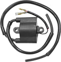 SP1 Ignition Coils and Stators for Arctic Cat Snowmobiles (1998–2008)