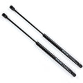 Hood Lift Supports for Dodge Ram 1500 2500 3500 4500 (2002–2010)
