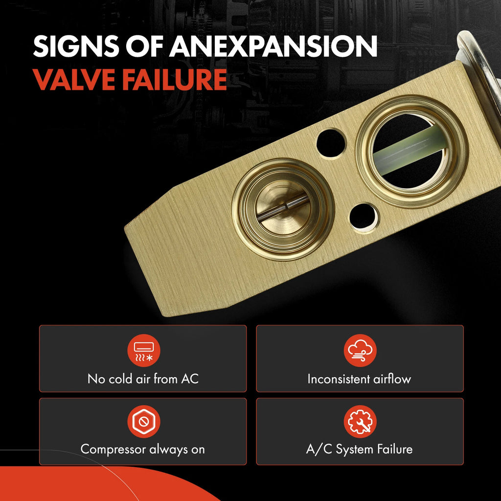 A/C Expansion Valve for Kia Amanti (2004-2006)