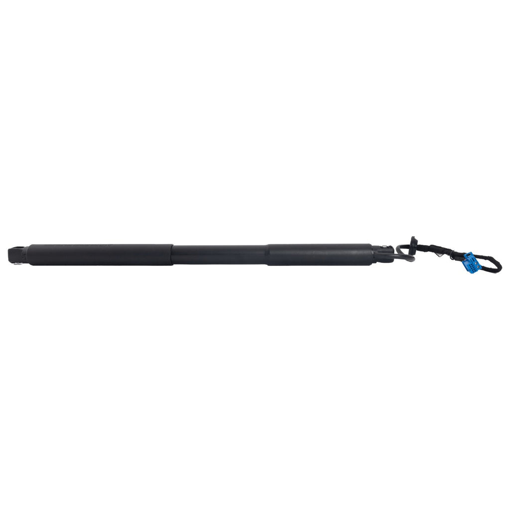 Set of 2 Liftgate Lift Supports for MB Mercedes