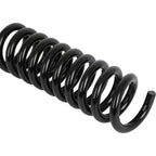 Set of 2 Rear Coil Springs for Dodge Charger Magnum (2005–2010)