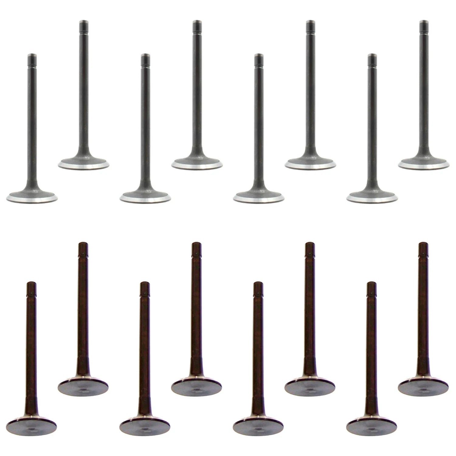 Set of 16 Intake & Exhaust Valves for Cougar Mustang Thunderbird V8 (1994–2002)