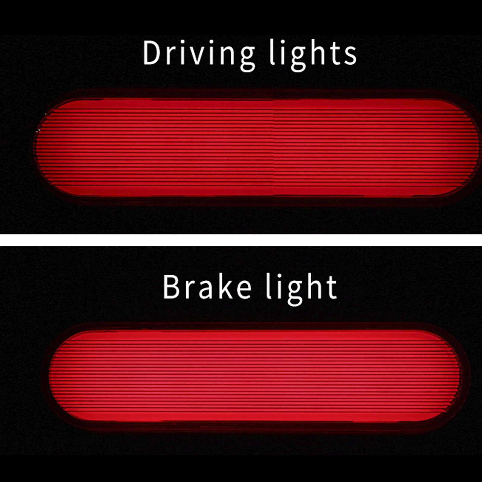 Tail Light Fender License Plate Holder for Sportster S 1250 RH1250S (2021–2024)
