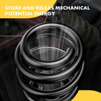 2X Rear Coil Springs for Ford Crown Victoria Lincoln Town Car (1994-2011)