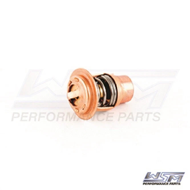 Thermostat for Polaris 650-1200 (1992–2004) 004-265