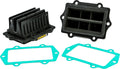 Vforce 3 Reeds for MOTO TASSINARI Twin Snow Intake System (A/C)