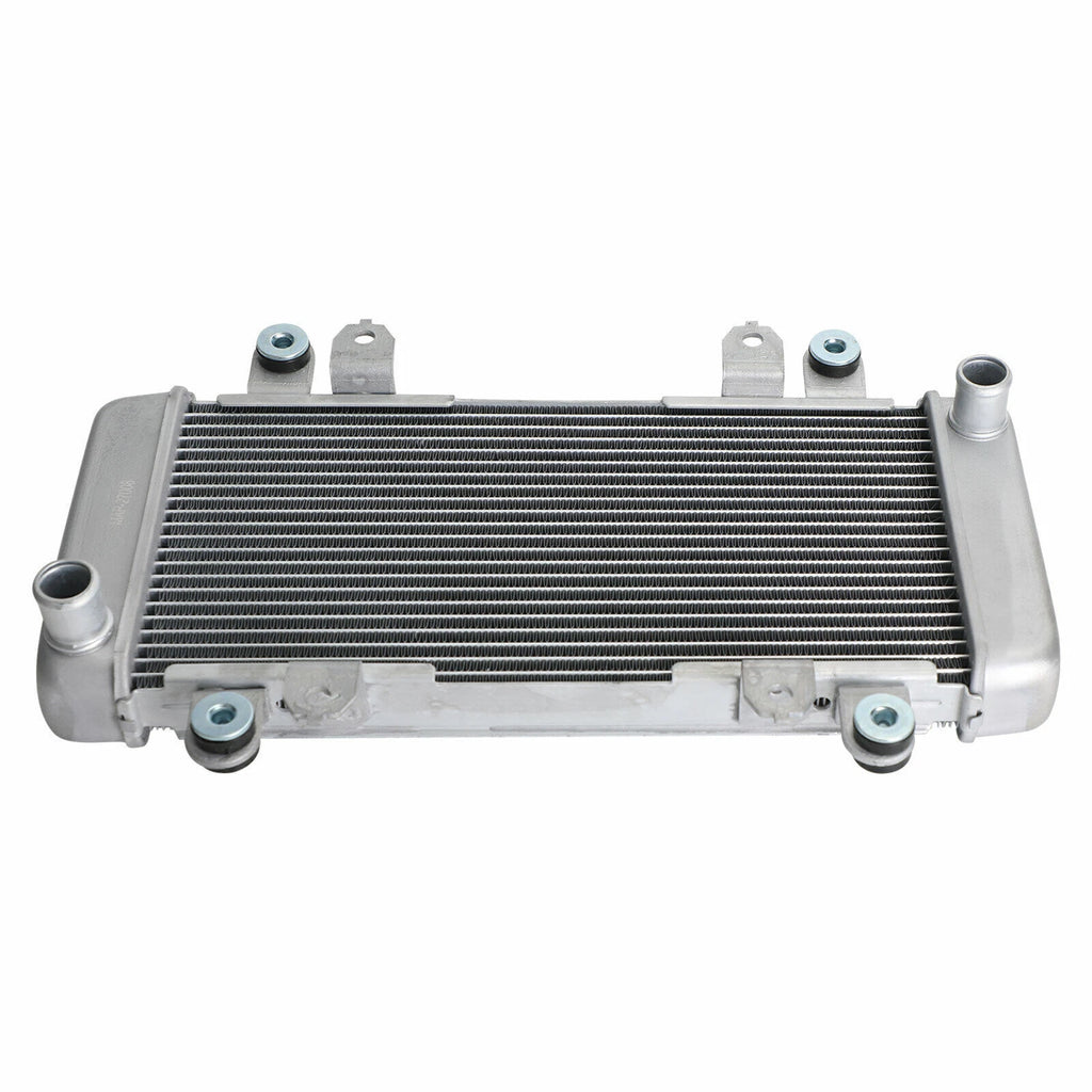 Radiator Guard for Kawasaki Ninja 300 EX300 (2013–2017) T9