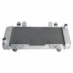 Radiator Guard for Kawasaki Ninja 300 EX300 (2013–2017) T9