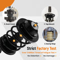 Front Struts w/ Coil Spring Assembly Sway Bars Kit for Honda Odyssey (1999–2004)
