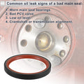 Rear Crankshaft Oil Seal for BMW 120i X3 X5 X6 Z4 (2007-2010)
