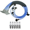 NGK Wire Set & Denso 6 Platinum TT Spark Plugs for E-150 E-250 F-150 (1997–2003)
