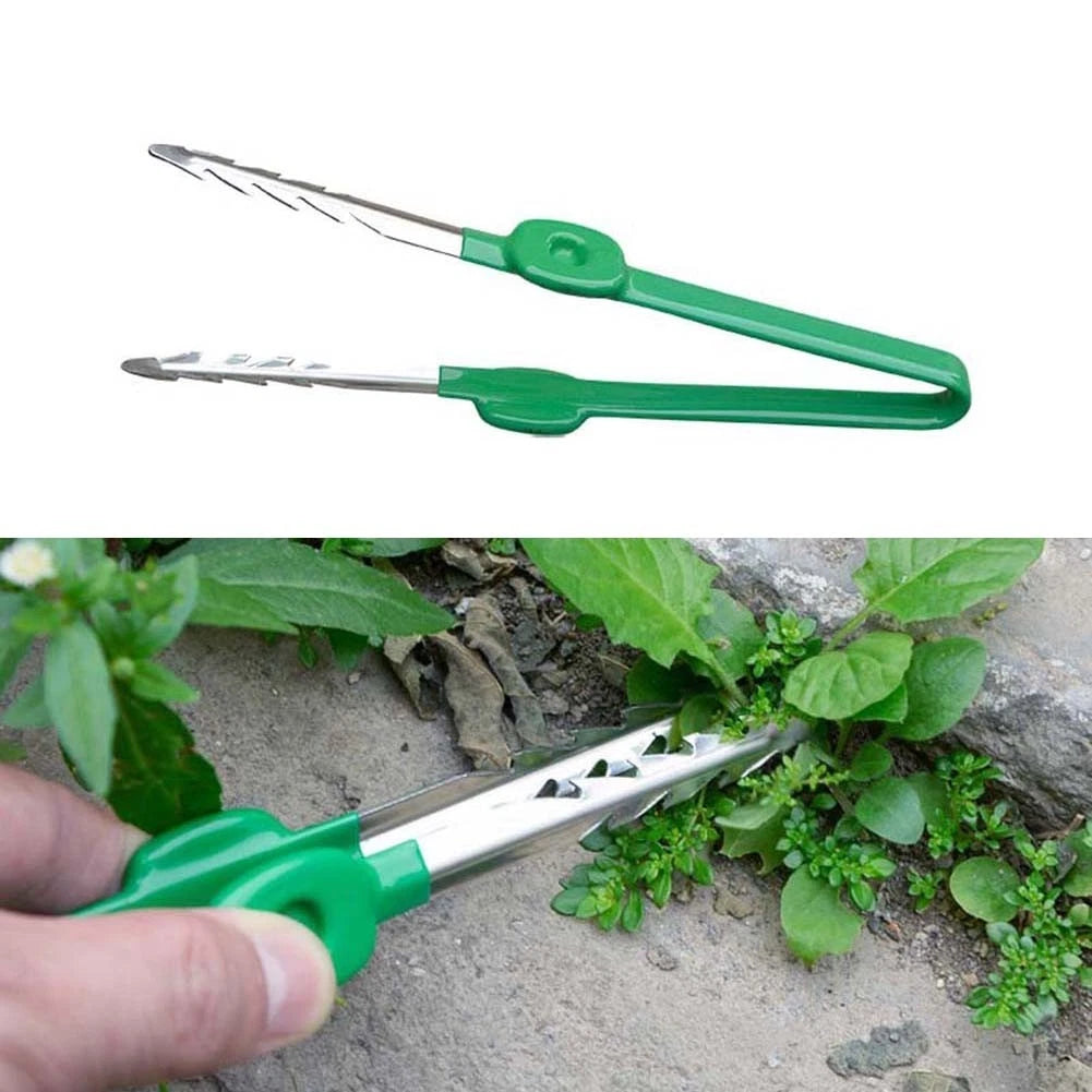 2X Portable Tweezers for Small Plants and Flowers