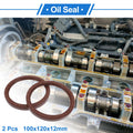 Set of 2 Oil Seal Rotary Shaft Seal FKM Rubber 100x120x12mm