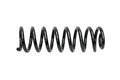 Front Coil Spring for Mercedes-Benz E320 4Matic (2001–2003) 2103213504