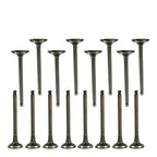 Exhaust & Intake Valves for Hyundai Accent Kia Rio (1996-2011)