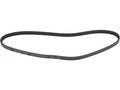 Multi Rib Belt for Mazda 323 (1991–1994) MT824KP