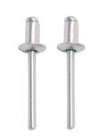 Set of 2 Window Regulator Rivets 4.8mm X 8mm for Mercedes Benz