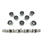 Tdi Camshaft & Lifters Kit for VW Jetta Golf Beetle ALH (1999–2006)